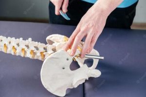 WhatsApp Image 2022-12-13 at 13. (1)